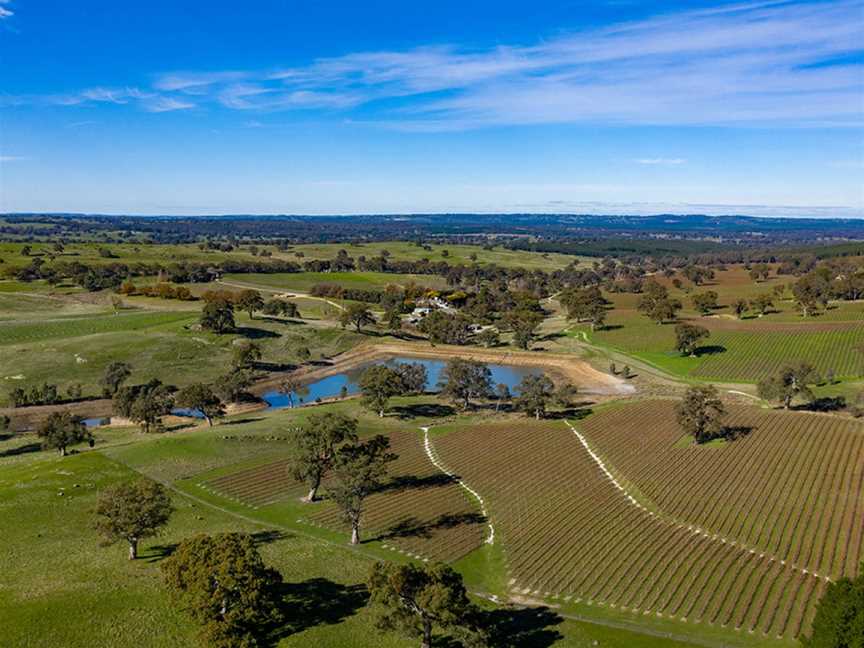 Corryton Burge, Tanunda, South Australia