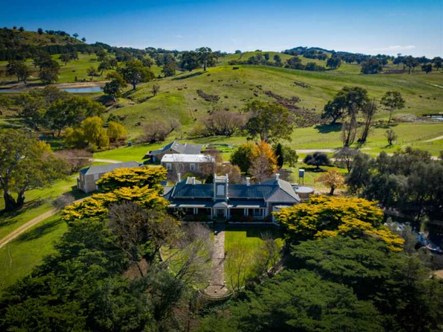 Corryton Burge, Wineries in Tanunda