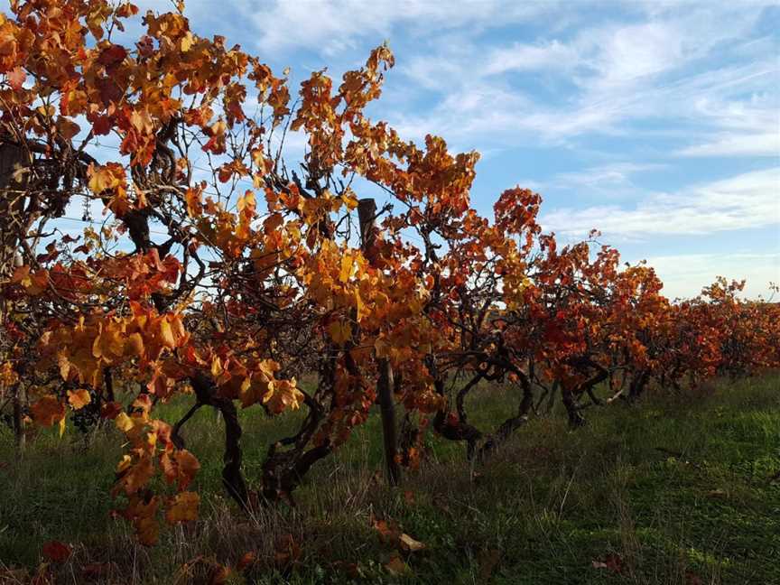 DOWIE DOOLE, McLaren Vale, South Australia