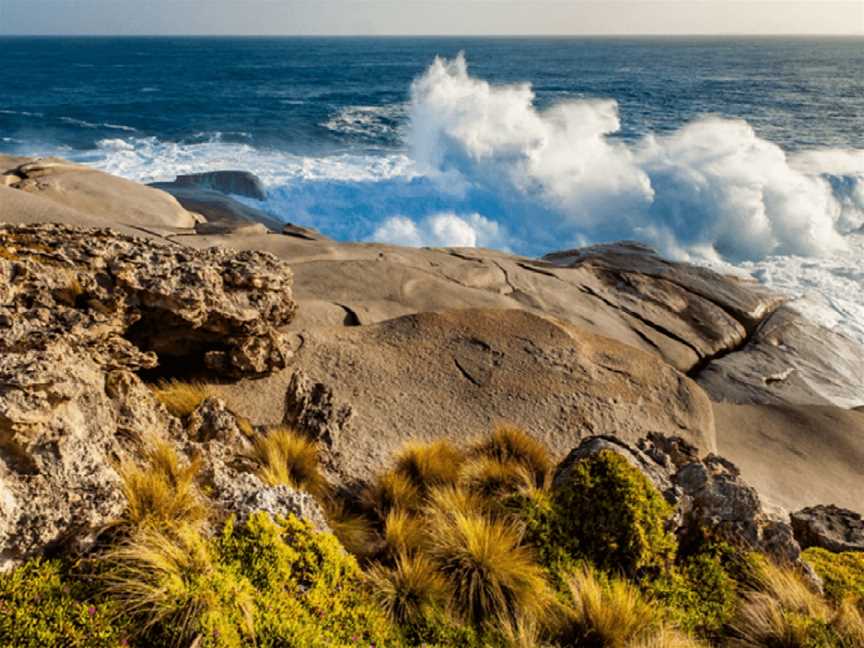 Dudley Wines, Cuttlefish Bay, South Australia