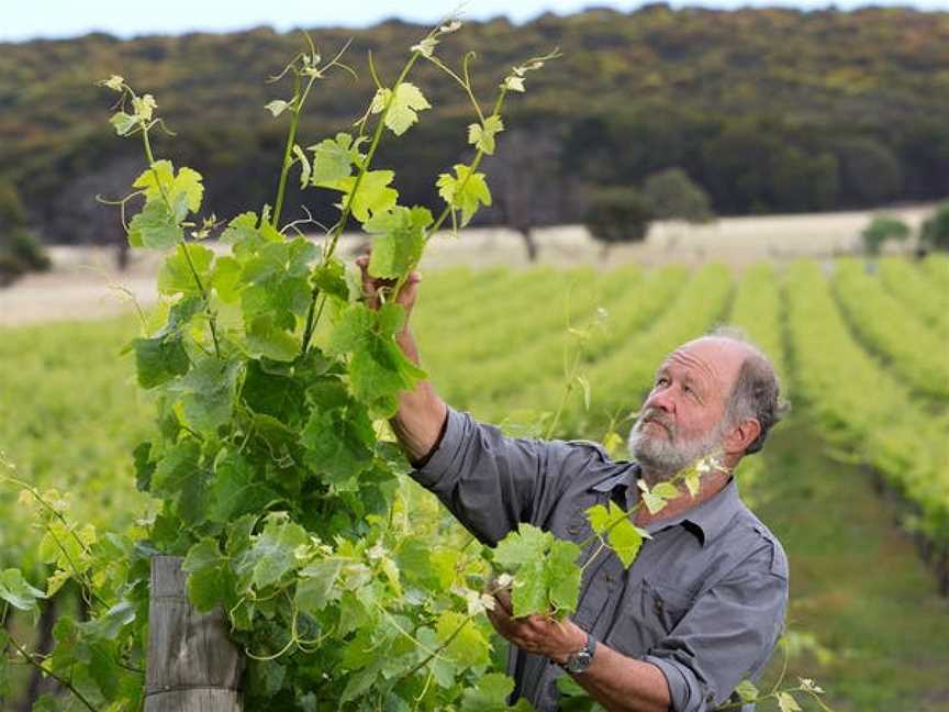 Dudley Wines, Cuttlefish Bay, South Australia