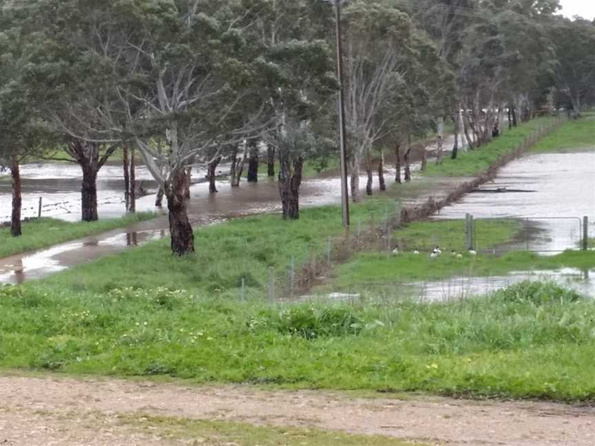 Finniss River Vineyard, Goolwa, South Australia