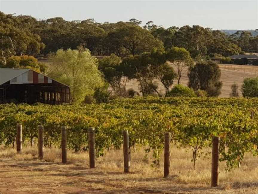 Garden & Field, Moculta, South Australia