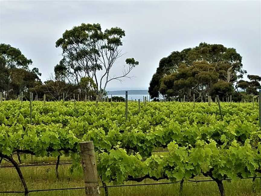 Gardner's Vineyard, Wineries in North Shields