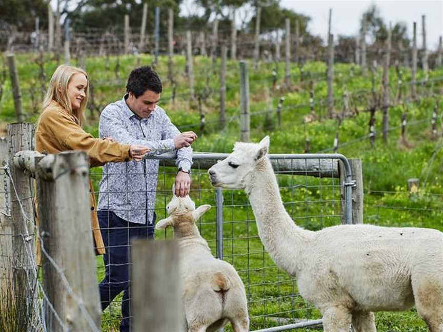 Gemtree Wines, McLaren Flat, South Australia