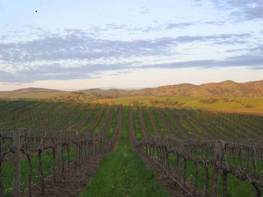 Gods Hill Wines, Lyndoch, South Australia