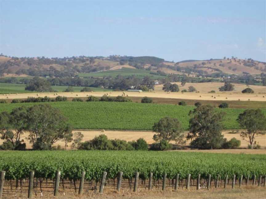 Gods Hill Wines, Wineries in Lyndoch