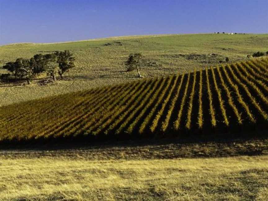 Grosset, Auburn, South Australia