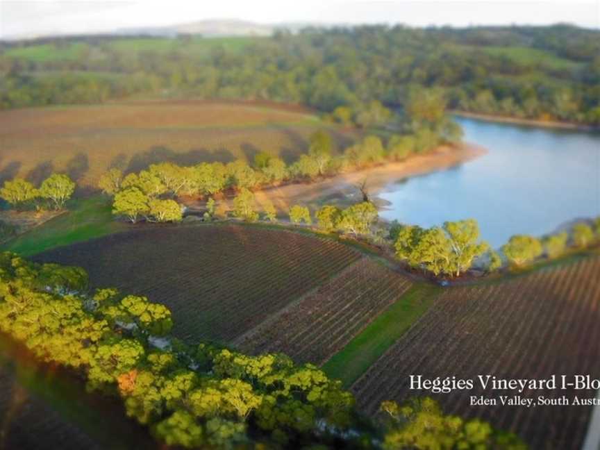 Heggies Vineyard, Eden Valley, South Australia