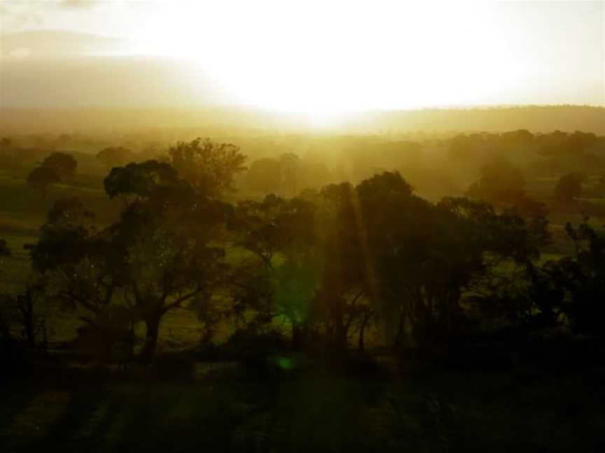 Heggies Vineyard, Wineries in Eden Valley