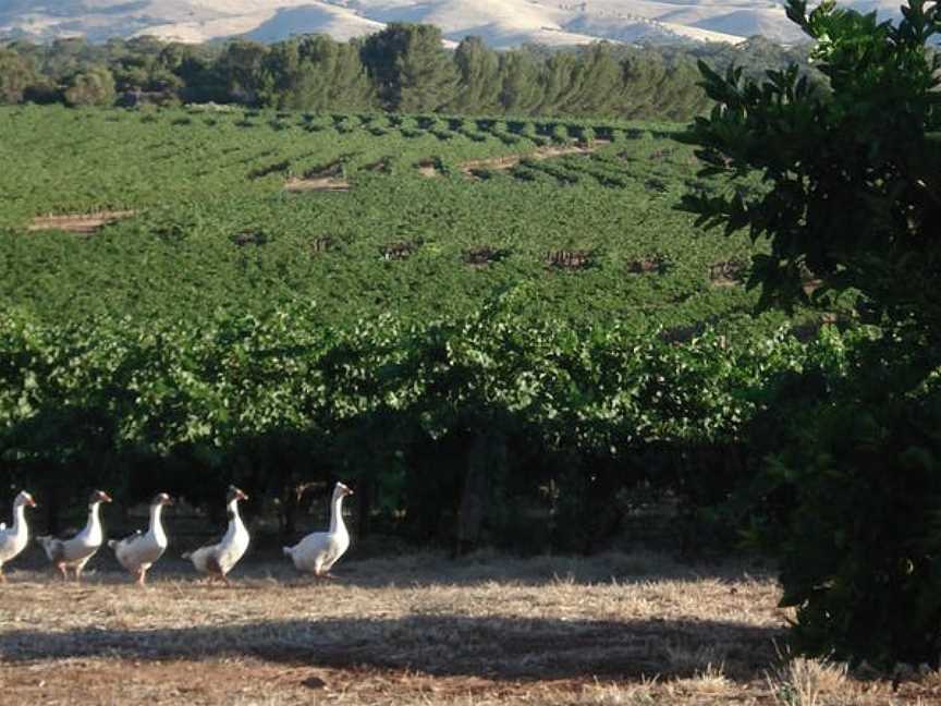 Heritage Wines, Marananga, South Australia