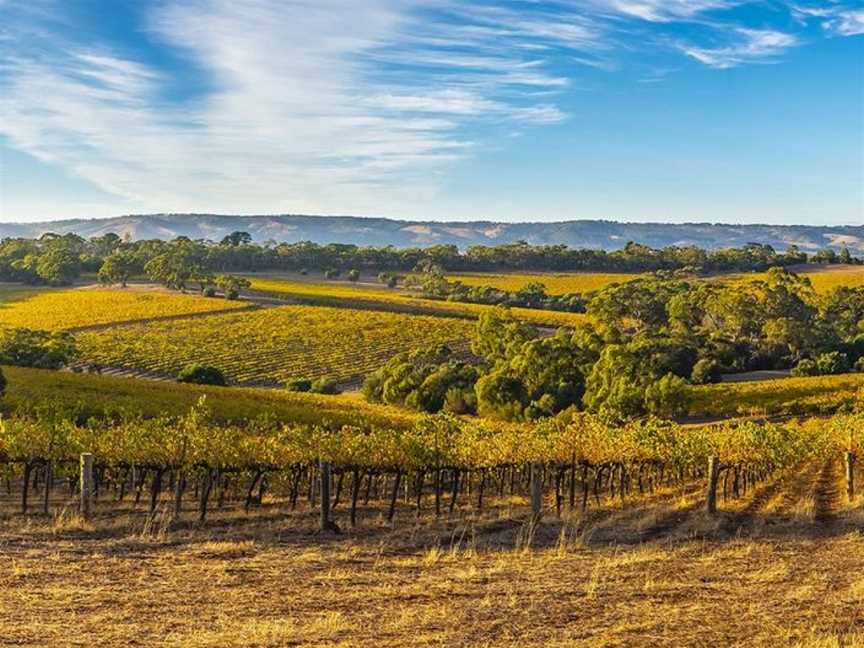 Hesketh Wine Company, Norwood, South Australia