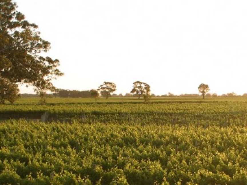 Highbank, Coonawarra, South Australia