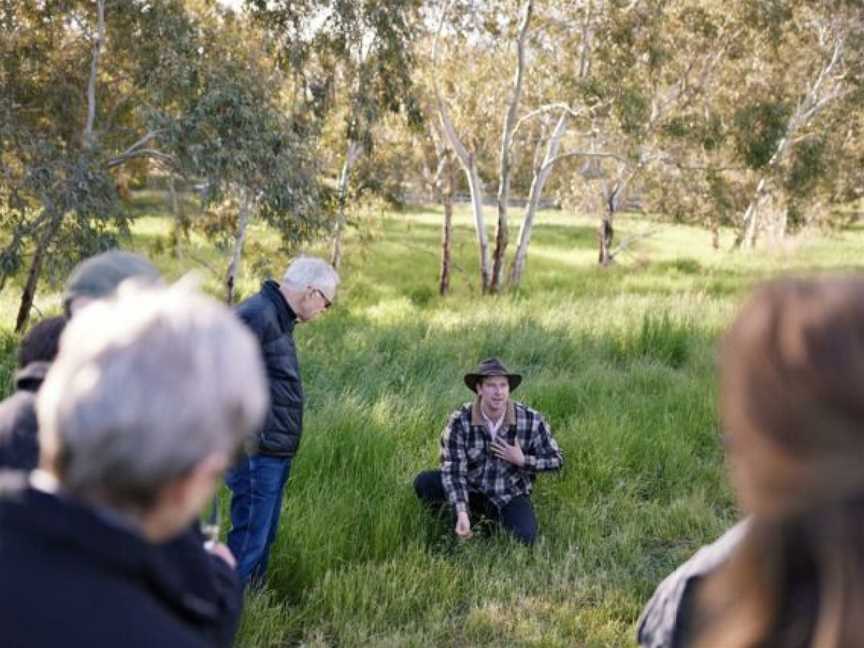 Howard Vineyard, Nairne, South Australia