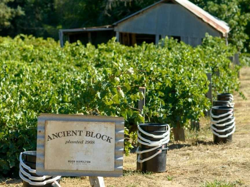 Hugh Hamilton Wines, McLaren Vale, South Australia