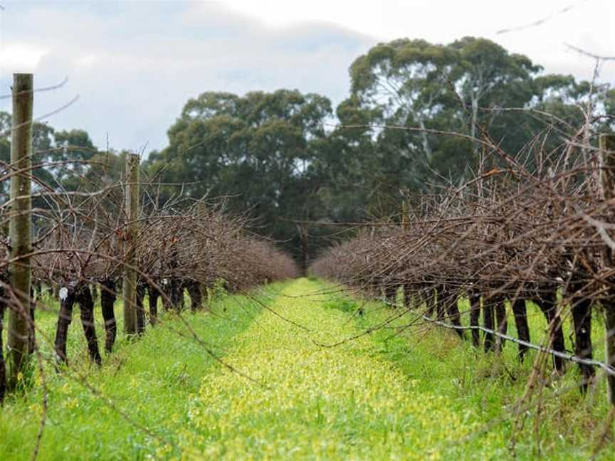 Hugh Hamilton Wines, McLaren Vale, South Australia