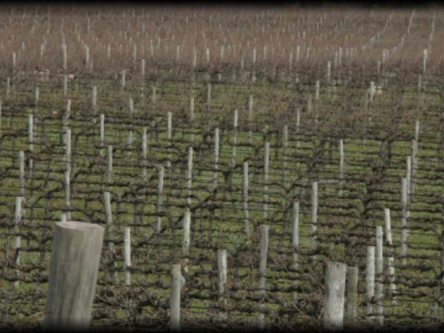 Hundred of Comaum, Coonawarra, South Australia