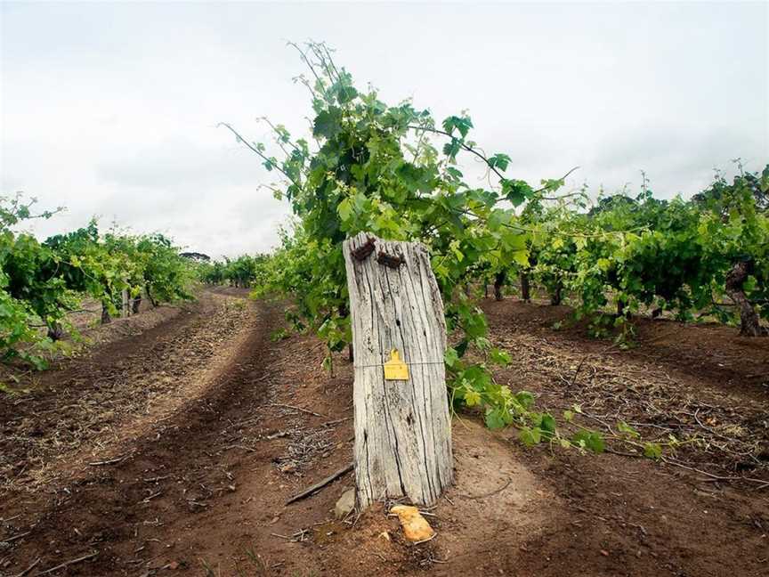 Jim Barry Wines, Clare, South Australia