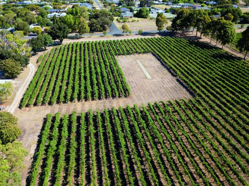 Jim Barry Wines, Clare, South Australia