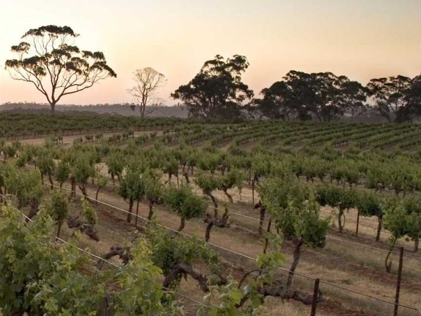 Knappstein, Clare, South Australia