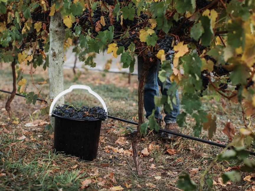 La Prova, Hahndorf, South Australia