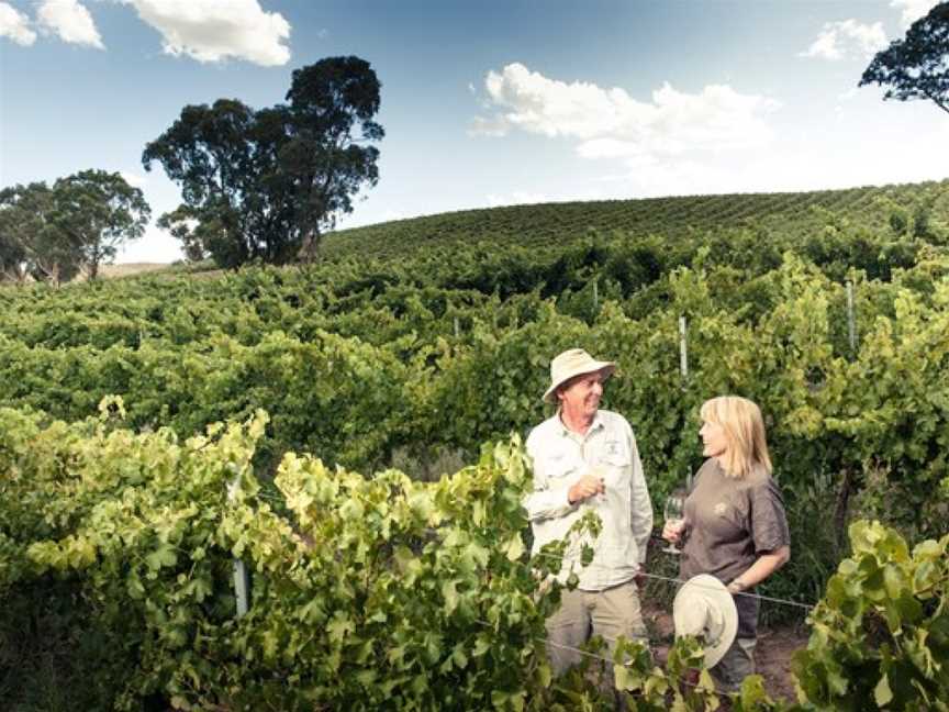 Lambert Estate, Angaston, South Australia