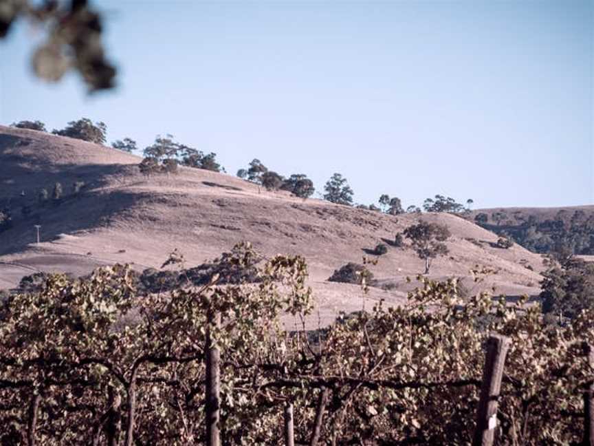 Liebichwein, Rowland Flat, South Australia