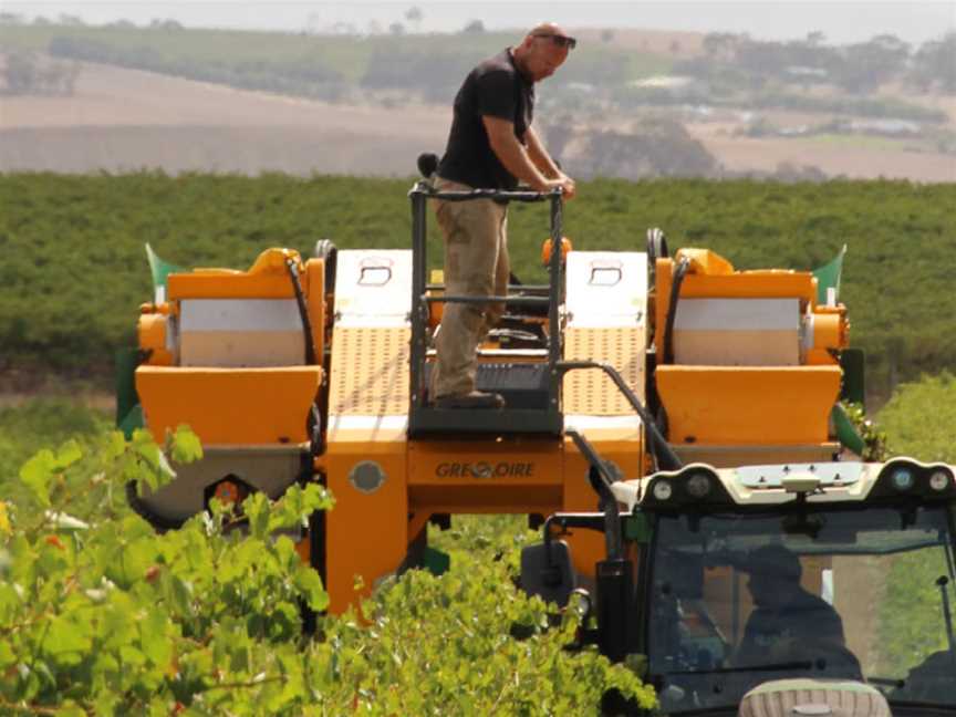 Lienert Vineyards, Tanunda, South Australia