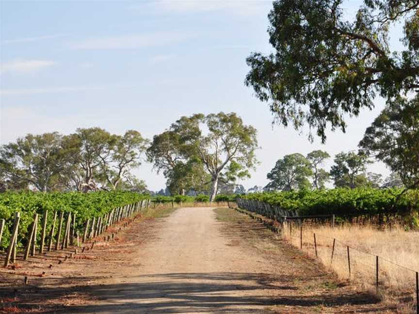 Majella, Coonawarra, South Australia