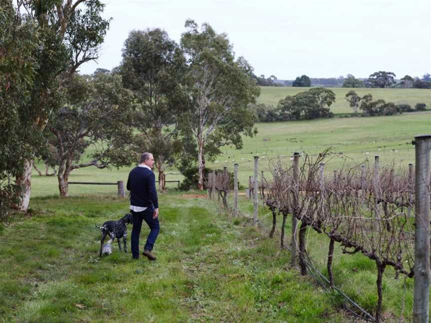 Mr Riggs Wine Company, McLaren Flat, South Australia