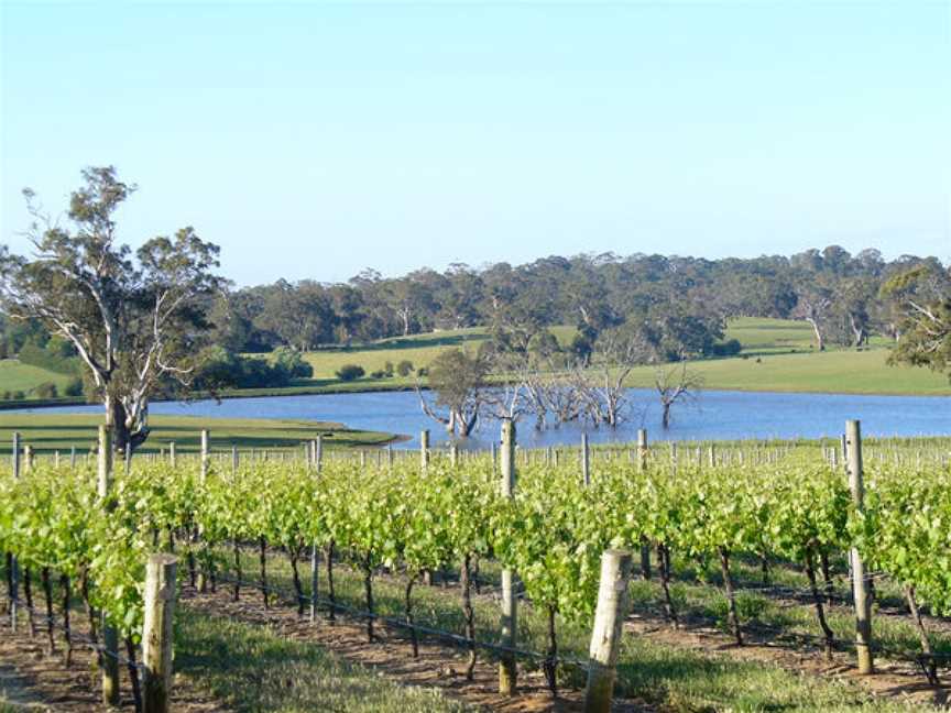 Murdoch Hill, Wineries in Woodside