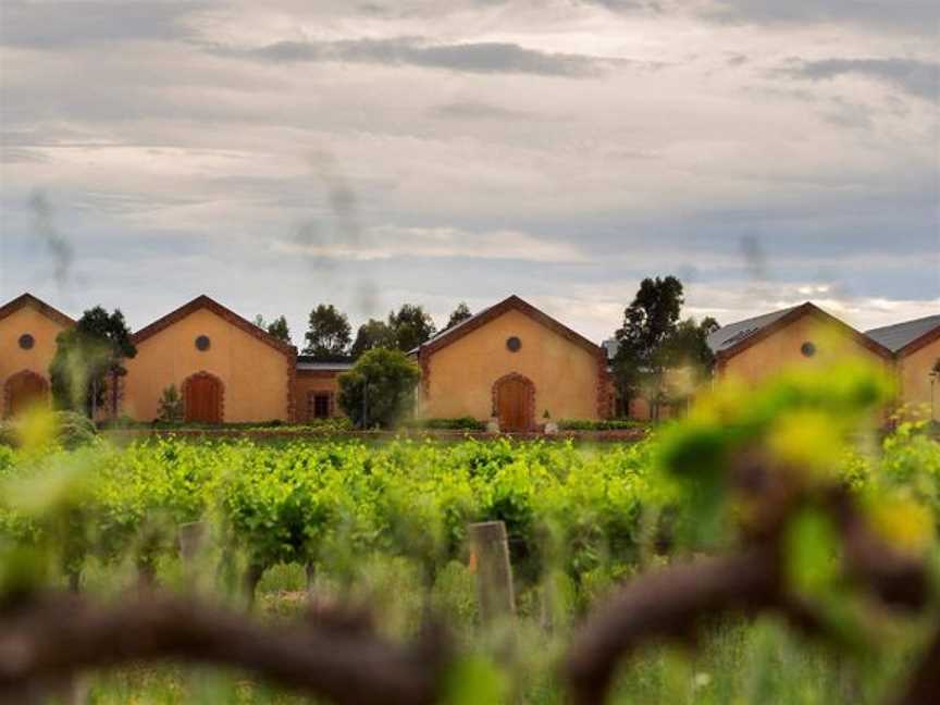 Murray Street Vineyards, Greenock, South Australia