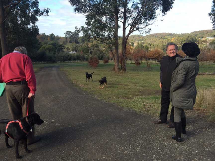 Orbach Family Wines, Wineries in Collingwood