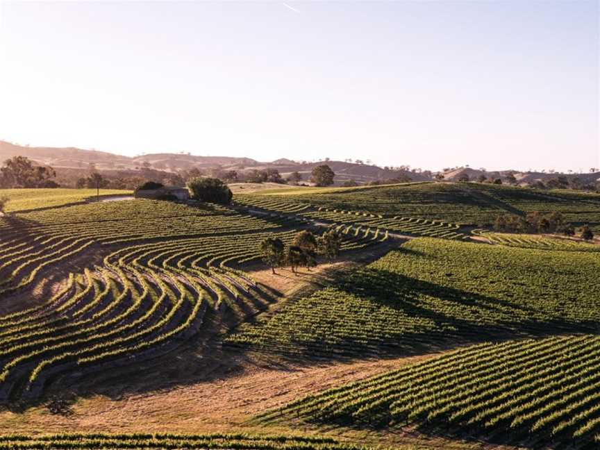 Pewsey Vale Vineyard, Wineries in Eden Valley