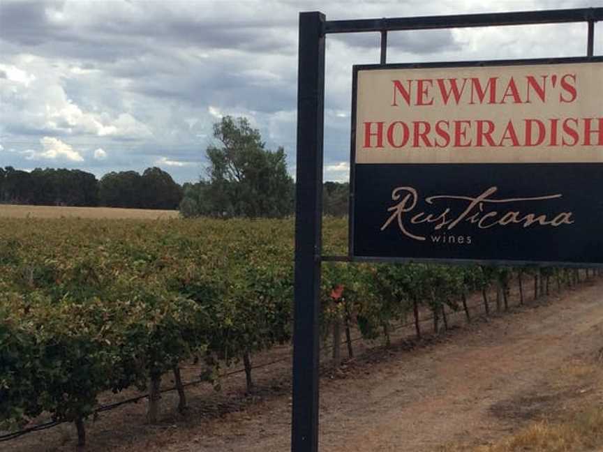 Rusticana Wines, Langhorne Creek, South Australia