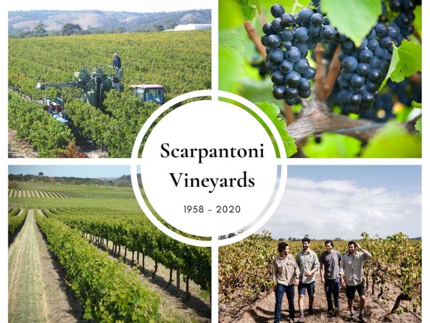 Scarpantoni Estate, McLaren Flat, South Australia