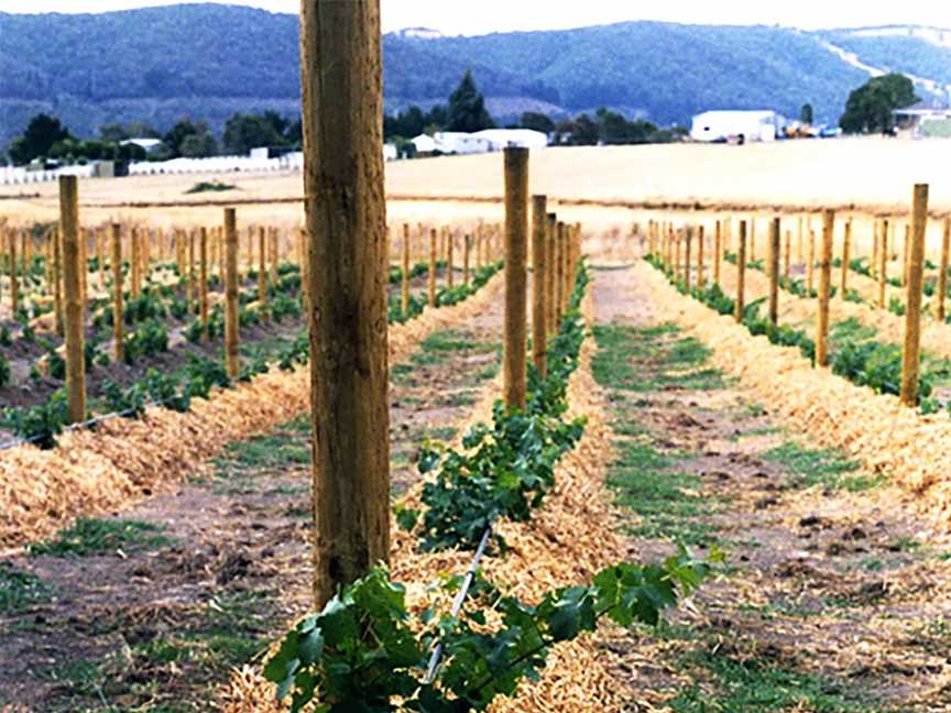 Yarra Park Vineyard, Wineries in Yering