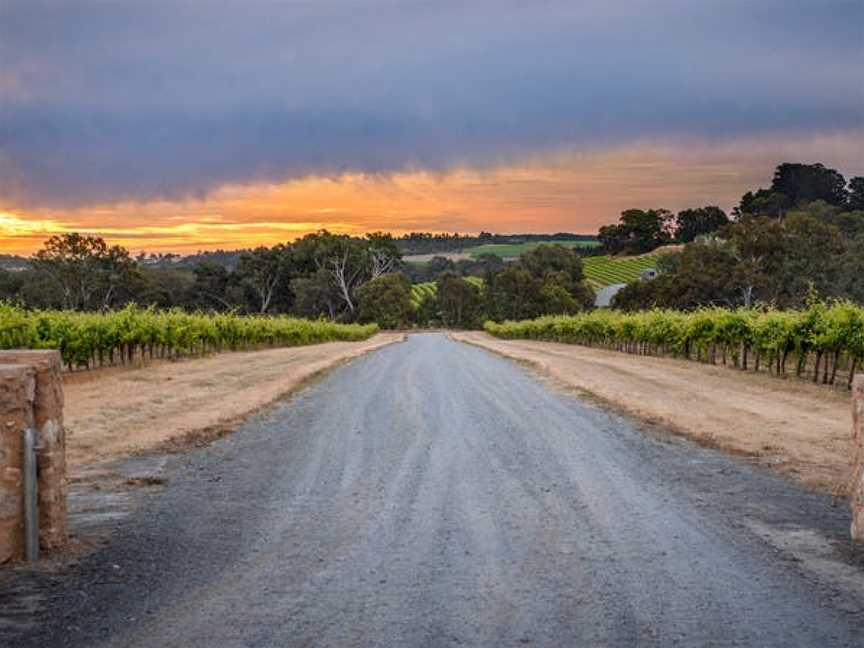 Shottesbrooke, McLaren Flat, South Australia