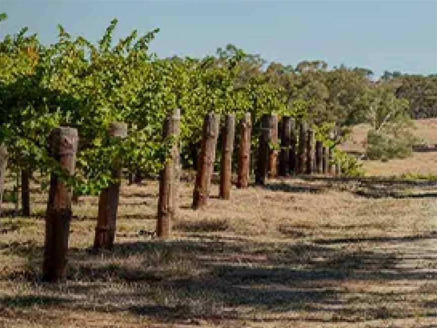 Smith & Hooper, Wineries in Naracoorte