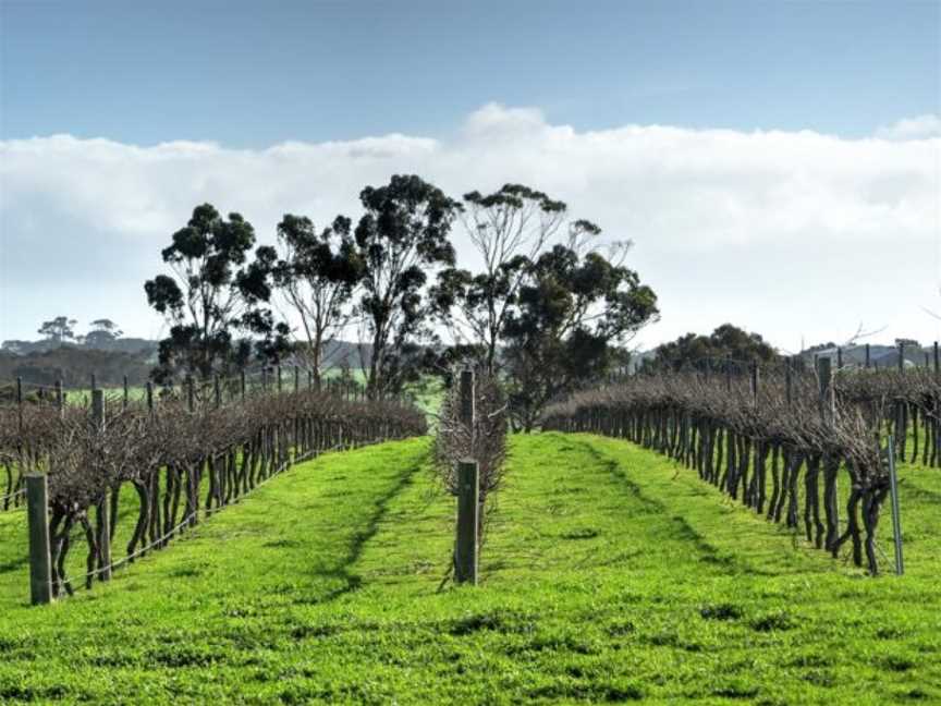 Springs Road Wines, Wineries in Cygnet River