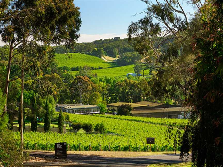 Tapanappa, Wineries in Piccadilly