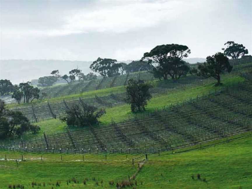 Tapanappa, Piccadilly, South Australia