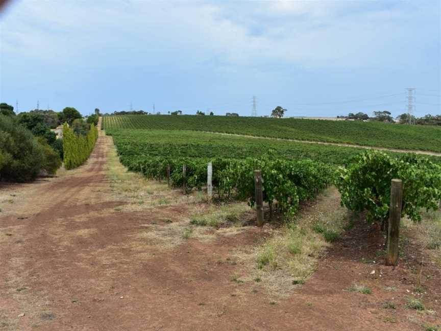 Tenafeate Creek Wines, One Tree Hill, South Australia