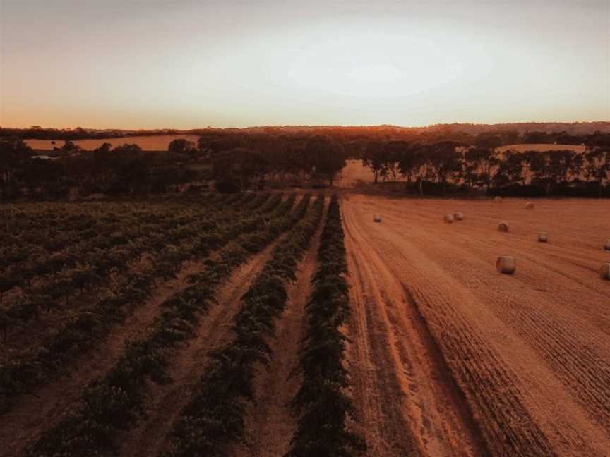 The Cutting, Tanunda, South Australia