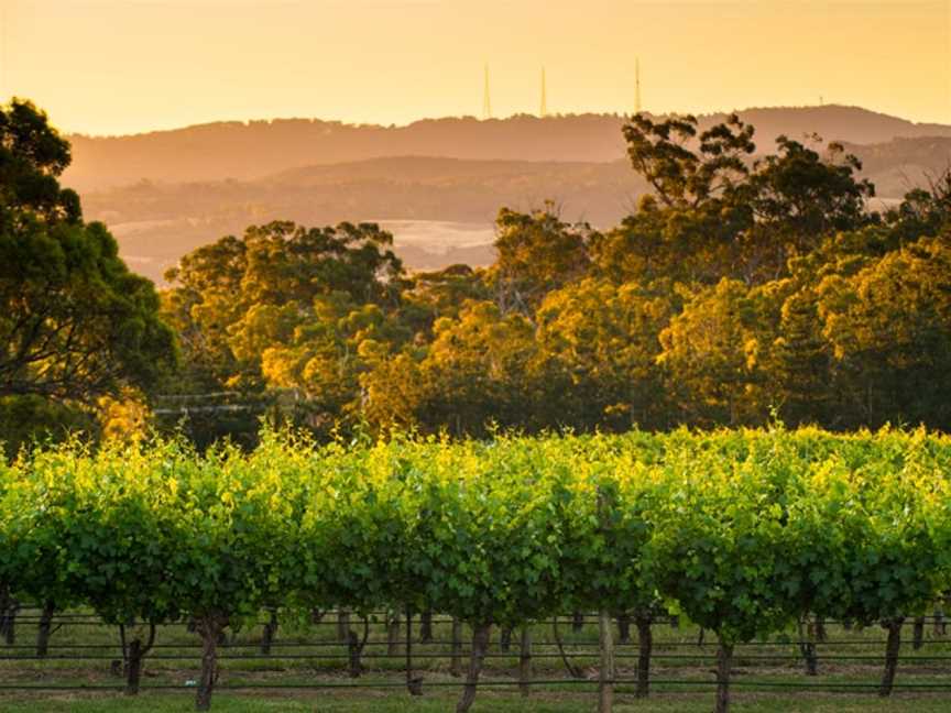 The Lane Vineyard, Balhannah, South Australia