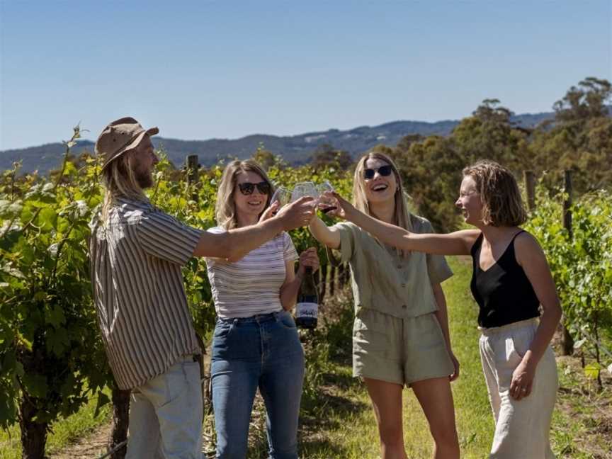 The Lane Vineyard, Balhannah, South Australia