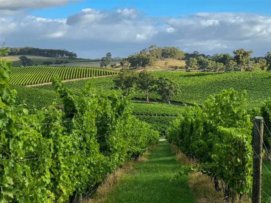 The Lane Vineyard, Balhannah, South Australia