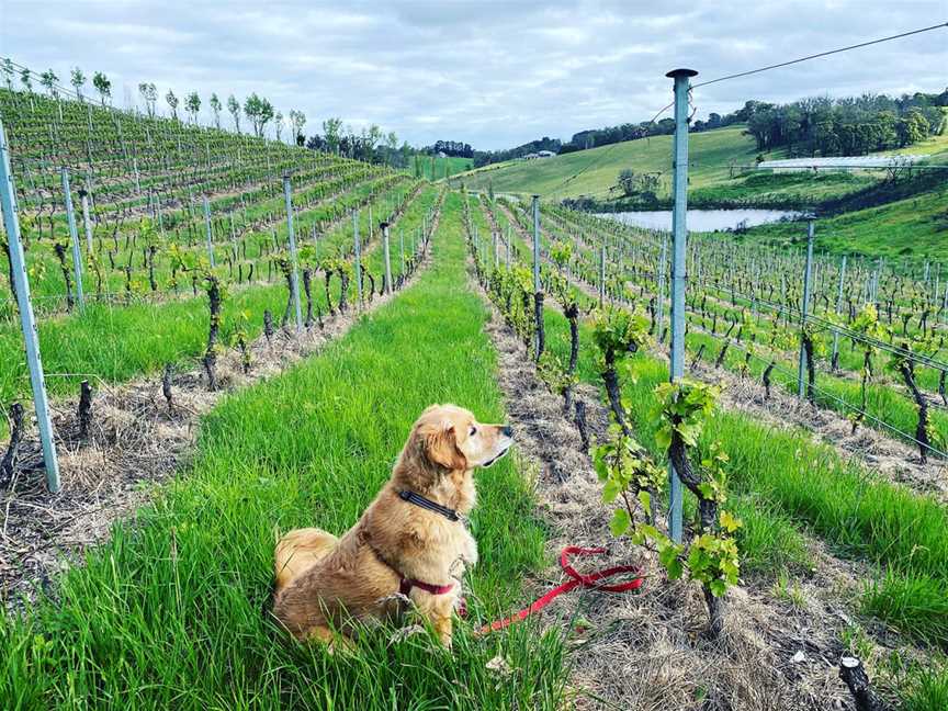 Tilbrook Estate, Lobethal, South Australia