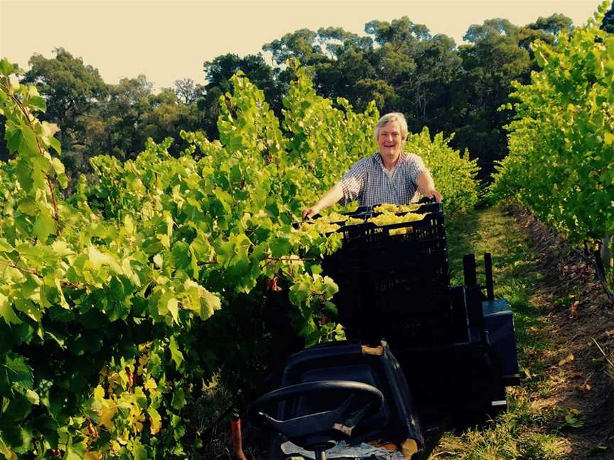 Tilbrook Estate, Lobethal, South Australia