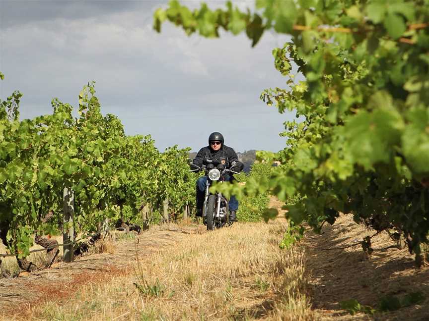 Tim Smith Wines, Wineries in Vine Vale